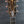 Load image into Gallery viewer, Taylor Custom #36 NAMM 2025 C14ce B5036 The Bengal-Grand Auditorium, Bearclaw Sitka Spruce/Tiger Myrtle