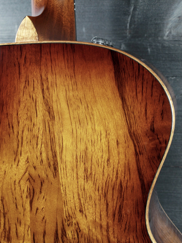 Taylor Custom #36 NAMM 2025 C14ce B5036 The Bengal-Grand Auditorium, Bearclaw Sitka Spruce/Tiger Myrtle