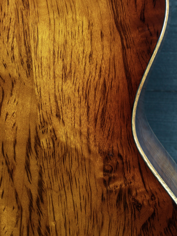 Taylor Custom #36 NAMM 2025 C14ce B5036 The Bengal-Grand Auditorium, Bearclaw Sitka Spruce/Tiger Myrtle