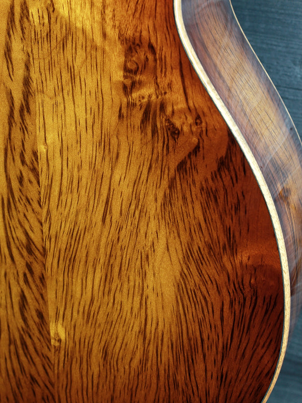 Taylor Custom #36 NAMM 2025 C14ce B5036 The Bengal-Grand Auditorium, Bearclaw Sitka Spruce/Tiger Myrtle