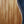 Load image into Gallery viewer, Taylor Guitars Gold Label 517e SB Grand Pacific Mahogany Torrified Spruce Acoustic Electric