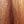 Load image into Gallery viewer, Taylor Gold Label 814e Honduran Rosewood Torrified Spruce Acoustic-Electric Guitar