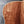 Load image into Gallery viewer, Taylor Gold Label 814e Honduran Rosewood Torrified Spruce Acoustic-Electric Guitar