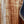 Load image into Gallery viewer, Taylor Gold Label 814e Koa SB / Torrified Spruce Sunburst Acoustic-Electric Guitar