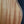 Load image into Gallery viewer, Taylor GS Mini-E Special Edition Blue Burst Acoustic-Electric Guitar