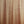 Load image into Gallery viewer, Taylor GS Mini M Mahogany Acoustic Guitar w/ Deluxe Soft Case
