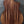 Load image into Gallery viewer, Taylor 254ce Plus Left-Handed 12-String Rosewood Acoustic-Electric Guitar