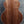 Load image into Gallery viewer, Taylor Legacy Collection 855e Jumbo 12-String Acoustic-Electric Guitar