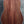 Load image into Gallery viewer, Taylor Legacy Collection 810e Rosewood Dreadnought Acoustic-Electric Guitar
