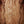 Load image into Gallery viewer, Taylor Guitars Custom GA NAMM C14ce B5003 Black Limba / Sinker Redwood