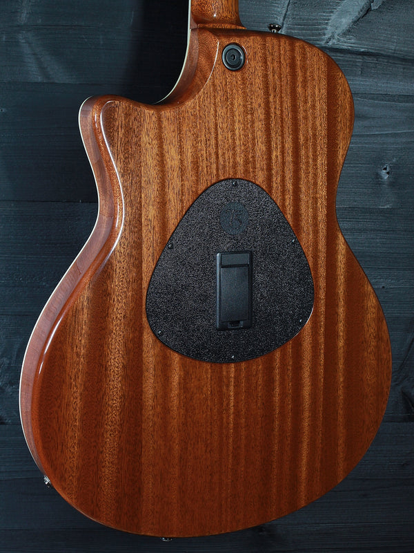 Pre-Owned Taylor T5 Aztec Gold Hybrid Acoustic-Electric Hybrid Guitar