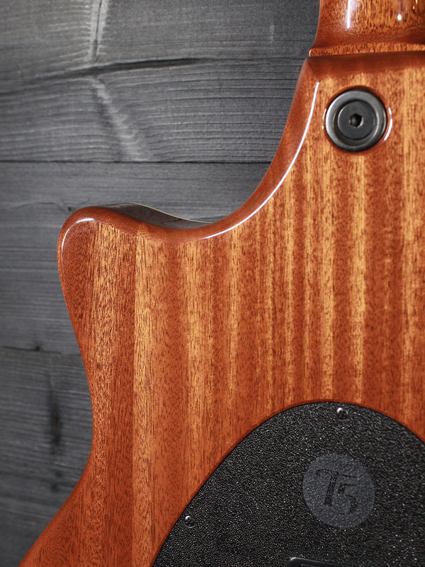 Pre-Owned Taylor T5 Aztec Gold Hybrid Acoustic-Electric Hybrid Guitar