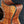 Load image into Gallery viewer, Taylor Custom Grand Auditorium Hand-Selected Master Grade Koa