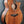 Load image into Gallery viewer, Taylor Custom Grand Auditorium Hand-Selected Master Grade Koa