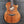 Load image into Gallery viewer, Taylor Custom Grand Auditorium Hand-Selected Master Grade Koa