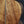Load image into Gallery viewer, Martin O’ahu K-42 Hibiscus – Limited Edition Toasted Burst Koa Acoustic Guitar
