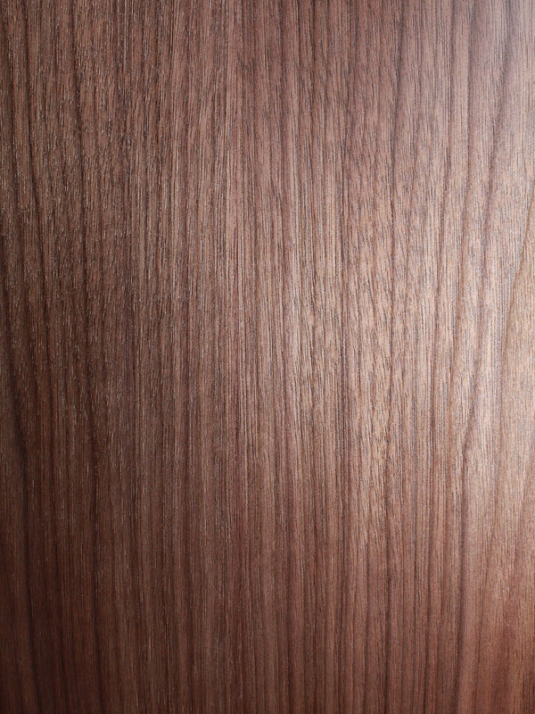 Taylor BBT Big Baby / Walnut - Authorized Online Dealer