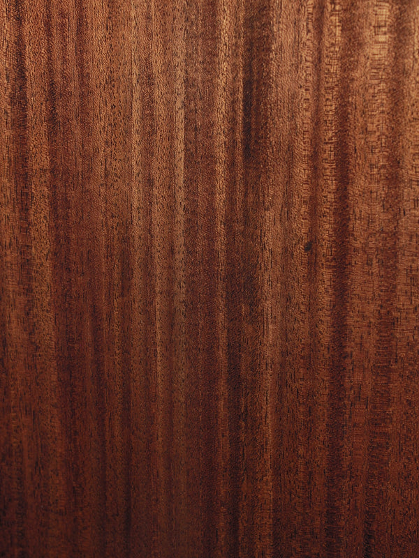 Bouregios Guitars Touchstone Standard SDS/TS Slope Shoulder Dreadnought Acoustic