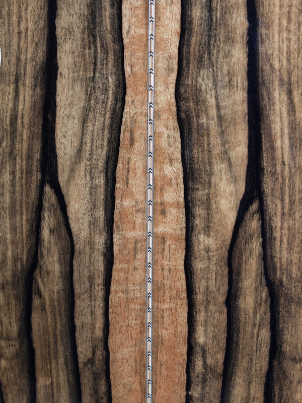Bourgeois Touchstone Soloist OMC TS-LE Launch Edition acoustic guitar with Macassar Ebony back and sides close up grain detail 