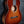 Load image into Gallery viewer, Custom Santa Cruz 00-1929 Style 12-Fret all-solid mahogany acoustic guitar with shaded Edgeburst glamour shot

