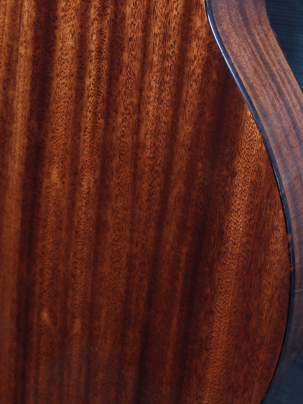 Eastman Guitar E1 OM-DLX Solid Sapele / Thermo-Cured Spruce  w/Fishman Electronics