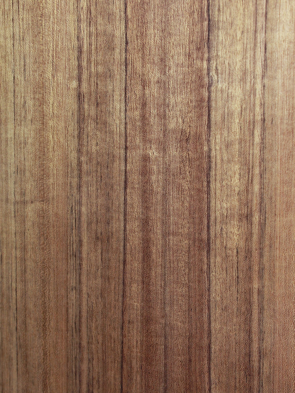 Eastman AC222CE Deluxe solid Ovangkol back close up wood texture 