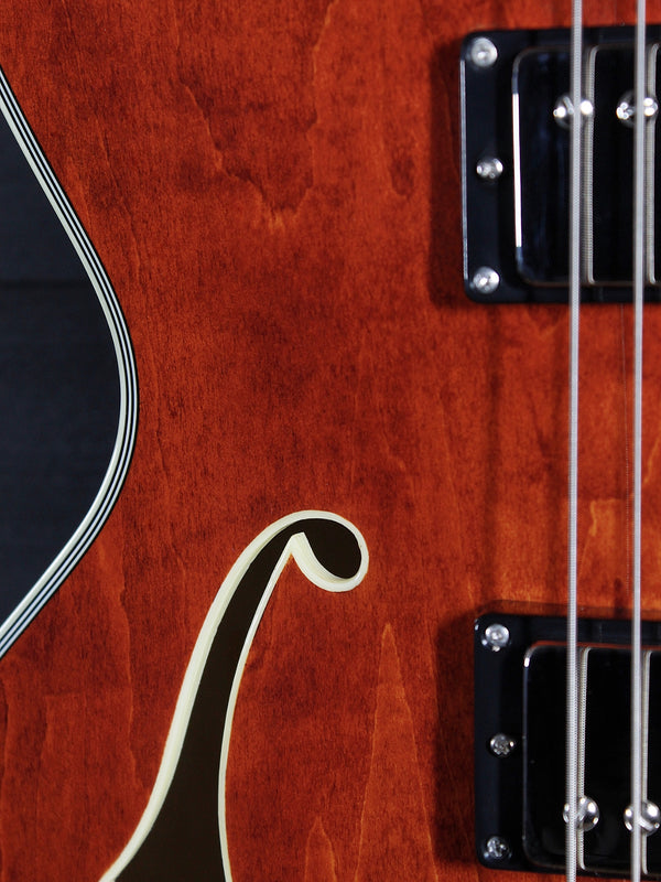 Eastman AR372CE Hollowbody Archtop Electric Guitar with Tonerider AC2 Humbuckers & Hardshell Case