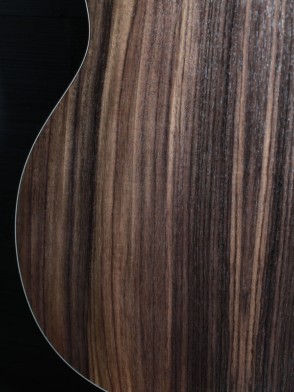 Eastman DM3 Grande Bouche Gypsy Jazz Acoustic Guitar with solid Sitka spruce top and traditional D-hole design at Tobias Music.