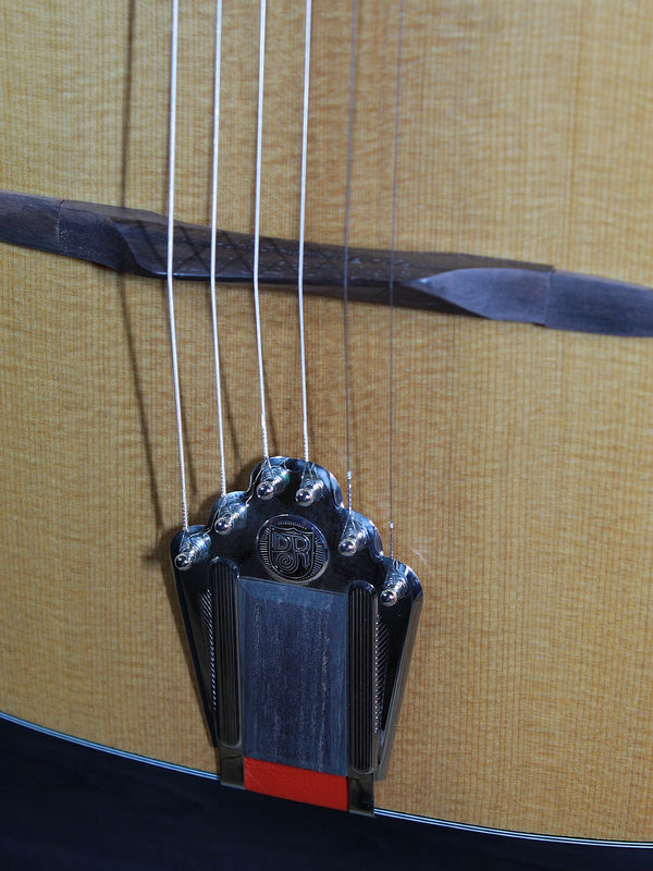 Eastman DM3 Grande Bouche Gypsy Jazz Acoustic Guitar with solid Sitka spruce top and traditional D-hole design at Tobias Music.