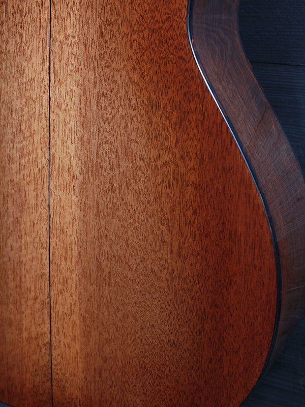 Eastman E10P-TC Solid Mahogany back and sides Lower bout and sides