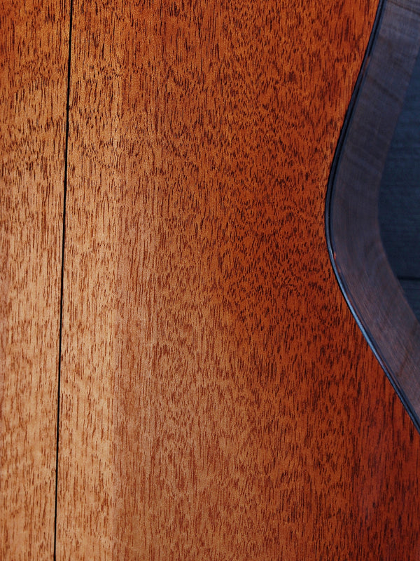 Eastman E10P-TC Solid Mahogany back and sides Close up wood grain
