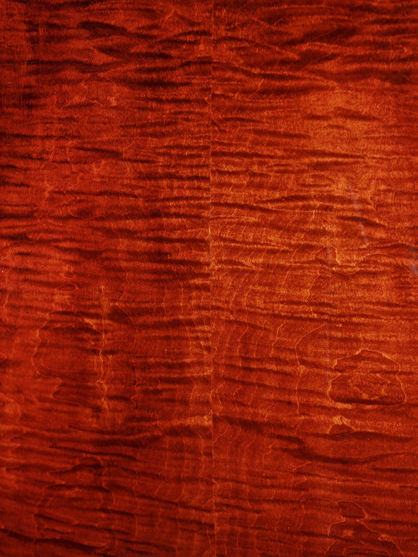 Eastman T386 Classic Semi-Hollow Body Electric Guitar