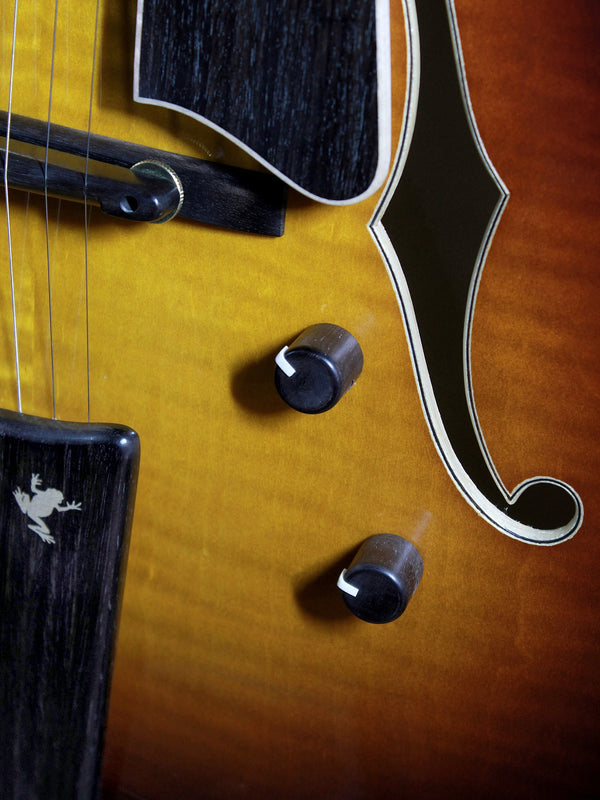 Eastman AR480ce John Pisano 30th Anniversary Edition Archtop Guitar w/ Electronics