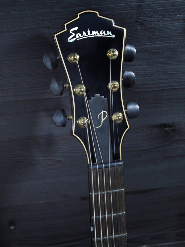 Eastman AR480ce John Pisano 30th Anniversary Edition Archtop Guitar w/ Electronics