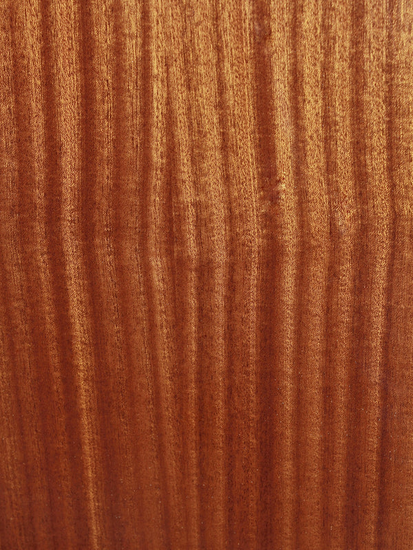 Eastman E1D-12 DLX 12-String Solid Sapele / Spruce Acoustic-Electric Guitar