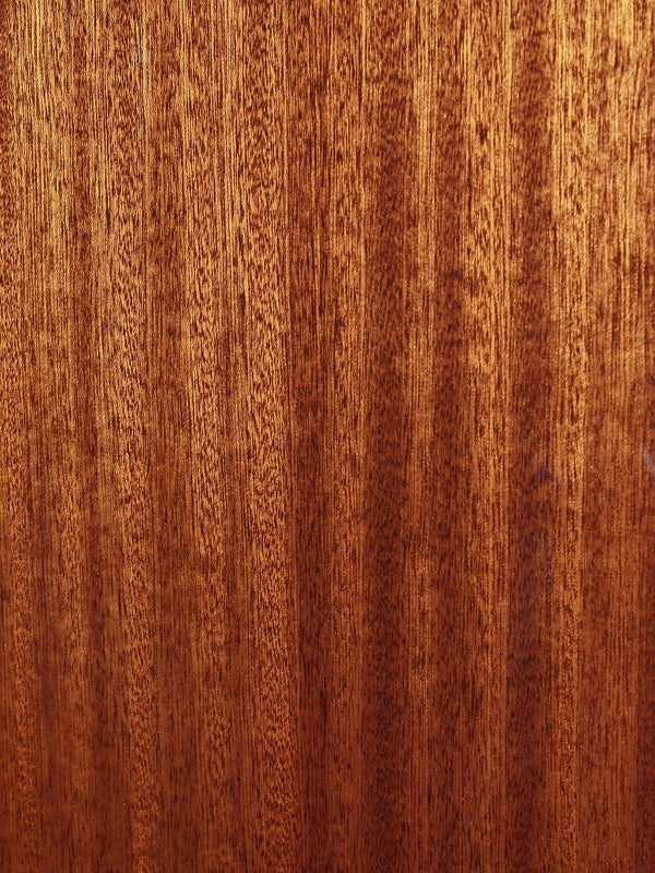 Eastman Guitars E1P-DLX-SB Parlor Size 12-Fret Solid Wood Acoustic-Electric