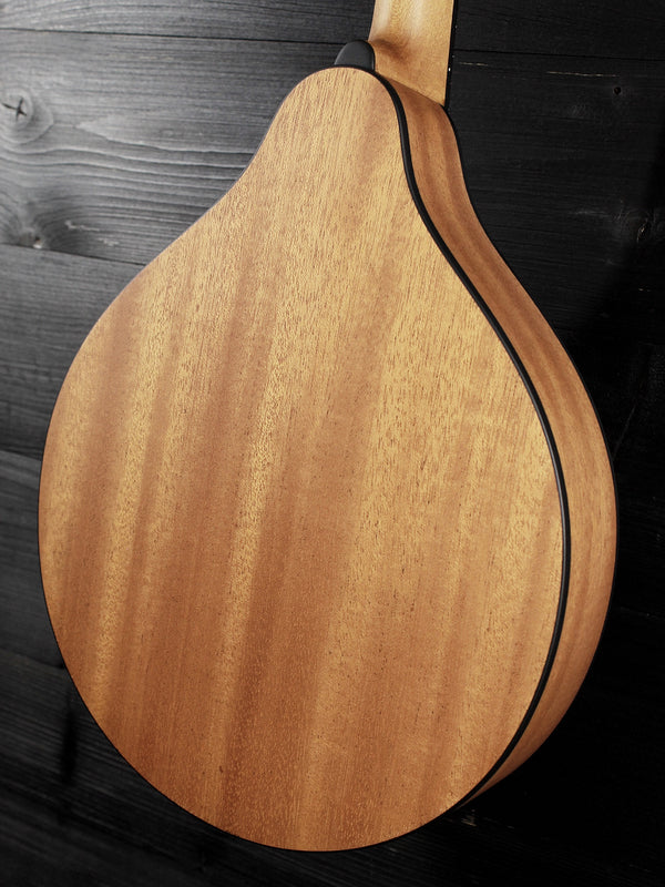 Eastman PCH-M104-GB A-Style Flattop Oval Hole Mandolin - Goldburst