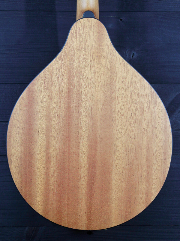 Eastman PCH-M104-GB A-Style Flattop Oval Hole Mandolin - Goldburst