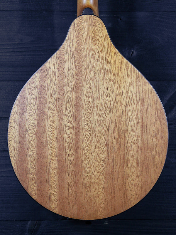 Eastman PCH-M104 Classic A-Style Flattop Oval Hole Mandolin