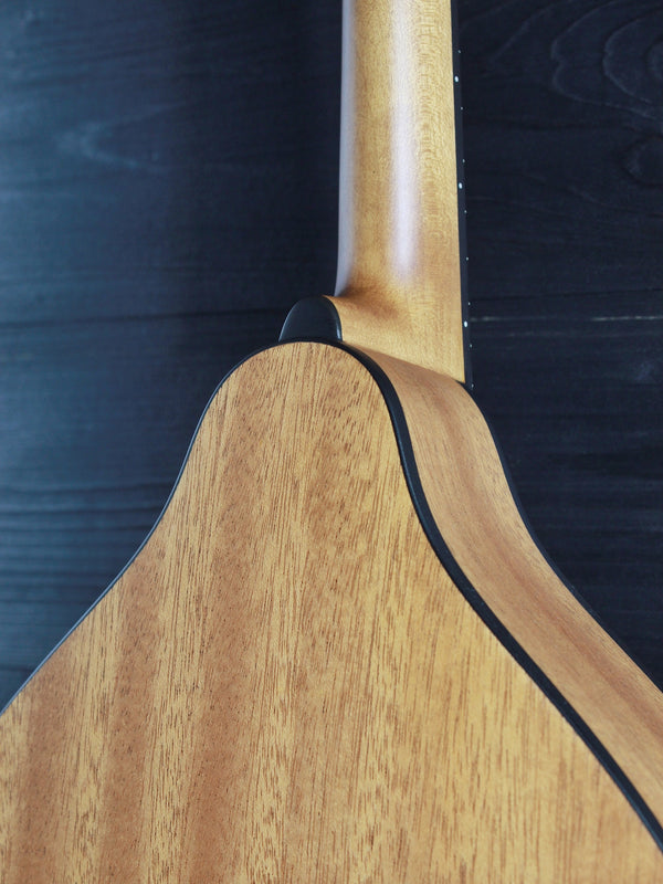 Eastman PCH-M104 Classic A-Style Flattop Oval Hole Mandolin
