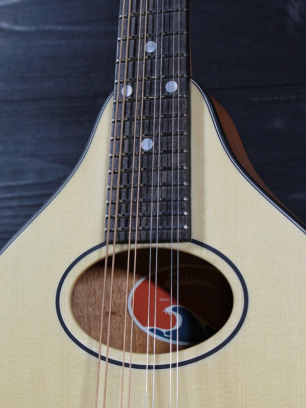 Eastman PCH-M104 Nat A-Style Flattop Oval Hole Mandolin - Natural