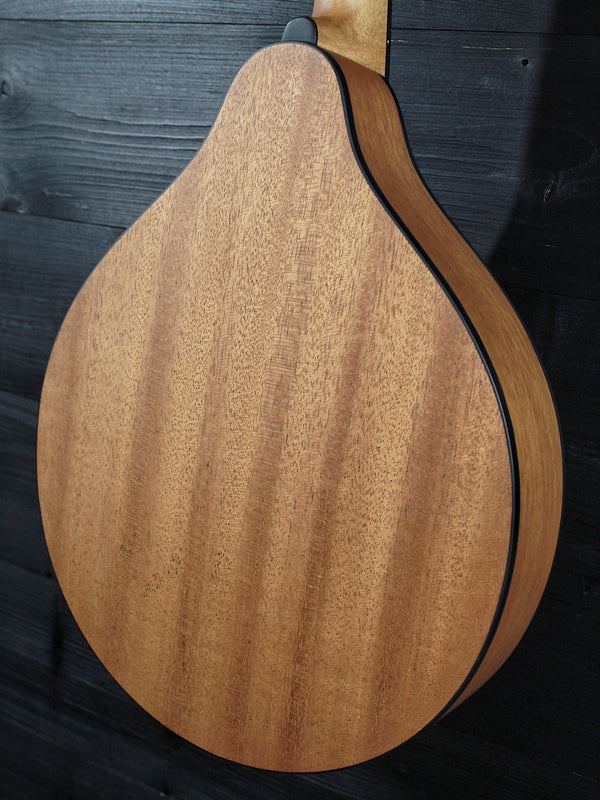 Eastman PCH-M104 Nat A-Style Flattop Oval Hole Mandolin - Natural