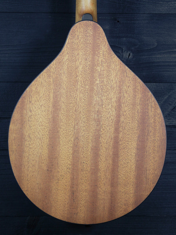 Eastman PCH-M104 Nat A-Style Flattop Oval Hole Mandolin - Natural