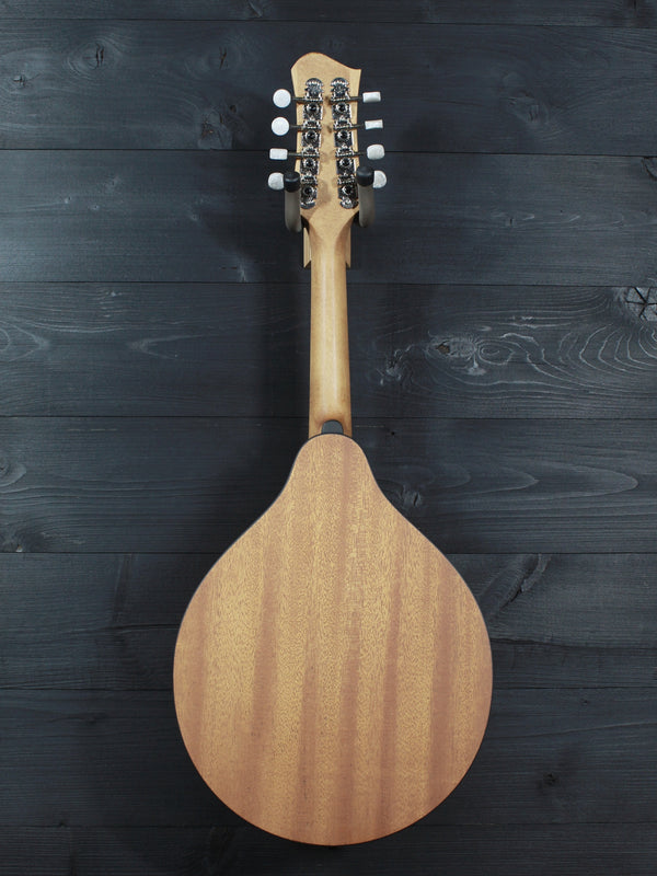 Eastman PCH-M104 Nat A-Style Flattop Oval Hole Mandolin - Natural