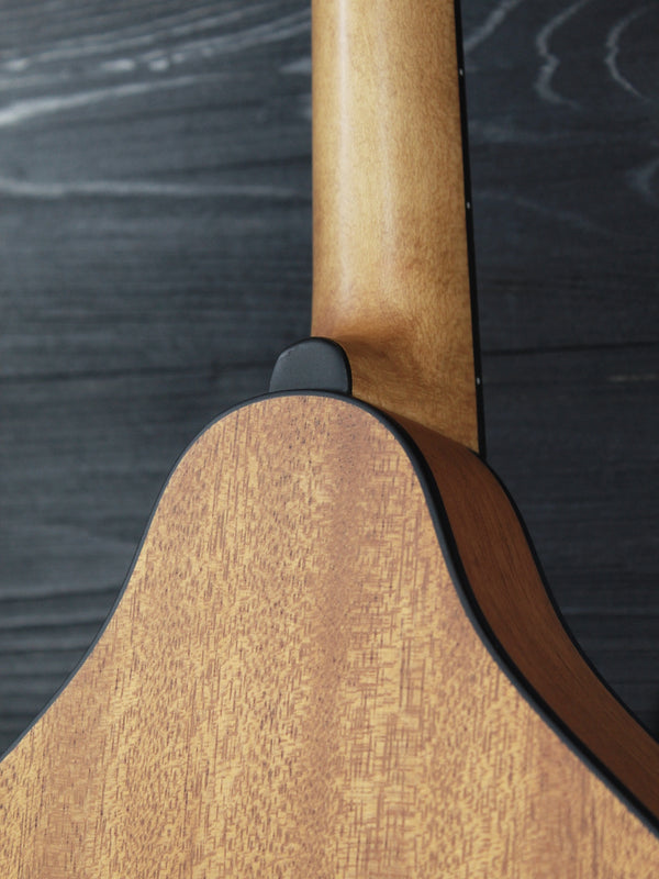 Eastman PCH-M104 Nat A-Style Flattop Oval Hole Mandolin - Natural