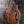 Load image into Gallery viewer, Eastman MD 315 F Style Mandolin - Solid Wood / Hand Crafted
