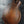 Load image into Gallery viewer, Eastman MD 315 F Style Mandolin - Solid Wood / Hand Crafted
