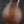 Load image into Gallery viewer, Eastman MD 315 F Style Mandolin - Solid Wood / Hand Crafted

