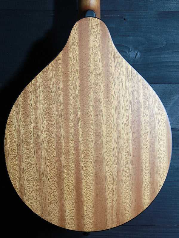 Eastman PCH-M104 Nat A-Style Flattop Oval Hole Mandolin - Natural