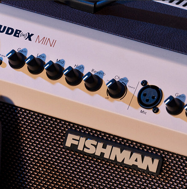 Fishman Loudbox Mini Acoustic Amplifier